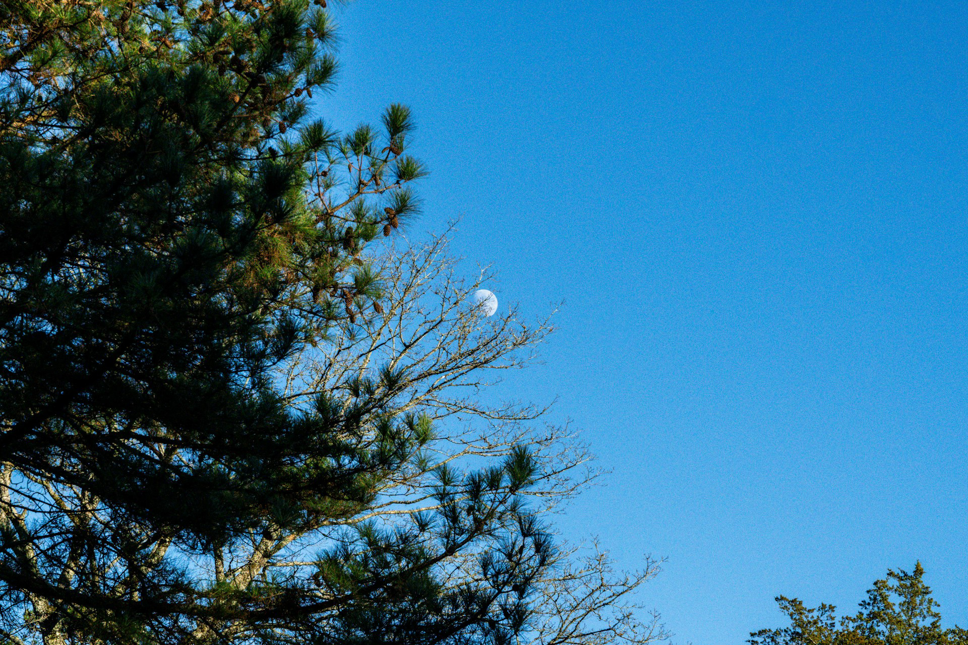 The Slow Living Rebellion